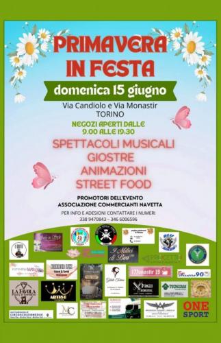 Festa Di Primavera - Torino