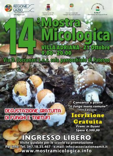 Mostra Micologica - Tivoli