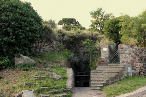 Primavera Nel Marghine A Bortigali - Bortigali
