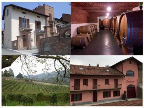 Poderi Moretti Winery Open For Guided Tours And Tasting Of Fine Wines From Alba Langhe And Roero In Autumn 2024 - Monteu Roero