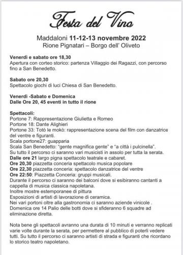 Festa Del Vino A Maddaloni - Maddaloni