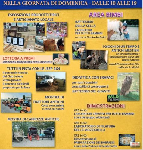 Fiera Dei Prodotti Tipici Locali E Artigianato A Cenate Sotto - Cenate Sotto