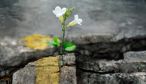 Clessidra, 7 Minuti - Bari