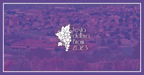 Festa Dell'uva - Broni