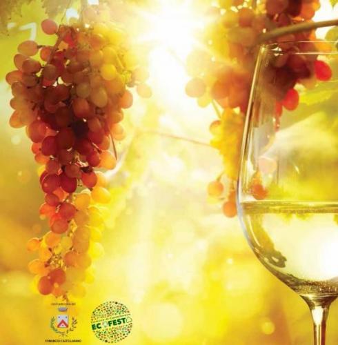 Festa Dell'uva A Castellarano - Castellarano