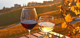 Vini Del Veneto A Roma - Roma