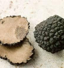 Gusto Antico - Camugnano