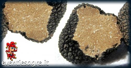 Fiera Regionale Del Tartufo Bianco - Odalengo Piccolo