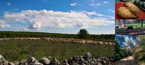 Visita Alla Murgia - Cassano Delle Murge