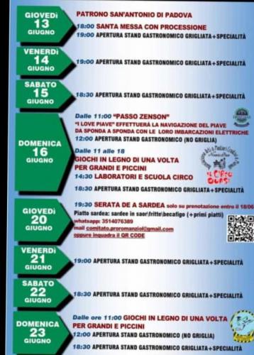 Festa Patronale San Antonio A Romanziol - Noventa Di Piave