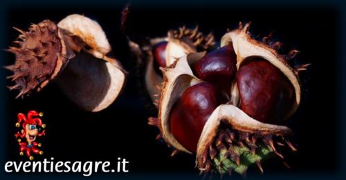 Sagra Della Castagna - Montaldo Di Mondovì