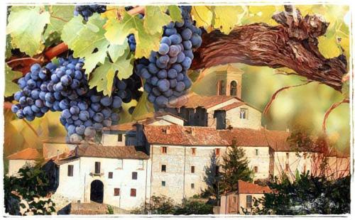 Festa Di San Martino - Contigliano