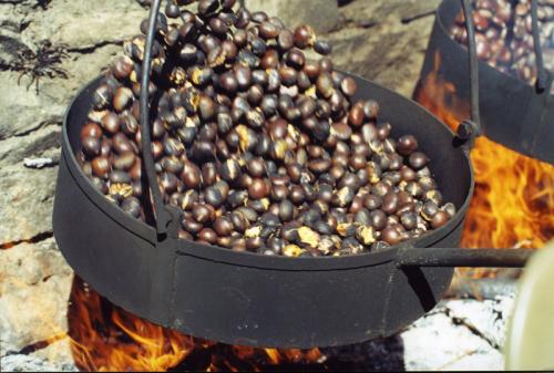 La Castagnata - Lauco