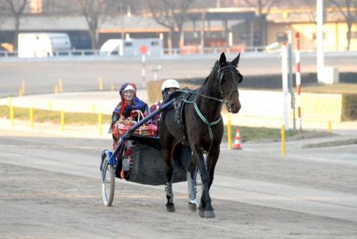 La Befana A Cavallo - Bologna
