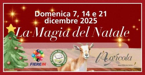 Natale A Lainate - Lainate