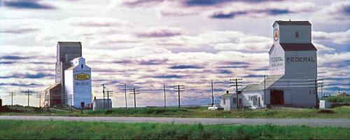 Paolo Gotti - Bologna