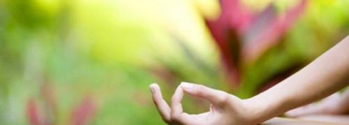 Centro Ayurvedico Krishnalila Di Torino - Torino