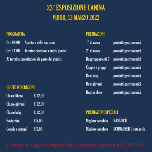 Mostra Canina - Vidor