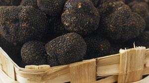 Sagra Del Tartufo - Cantiano