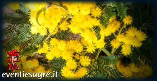 Festa Della Donna - Legnago