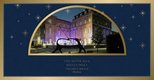 La Reggia Di Venaria - Venaria Reale