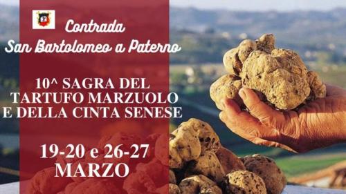 Sagra Del Tartufo Marzuolo E Della Cinta Senese - Castelfranco Di Sotto
