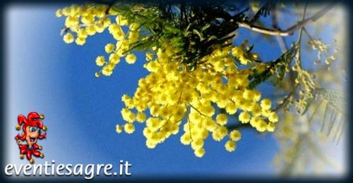 Festa Della Donna A Udine - Udine