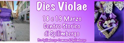 Festa Delle Viole A Spilimbergo - Spilimbergo
