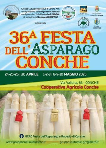 Festa Dell'asparago A Conche Di Codevigo - Codevigo