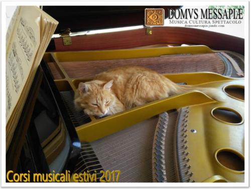 Corsi Musicali Estivi - Novoli