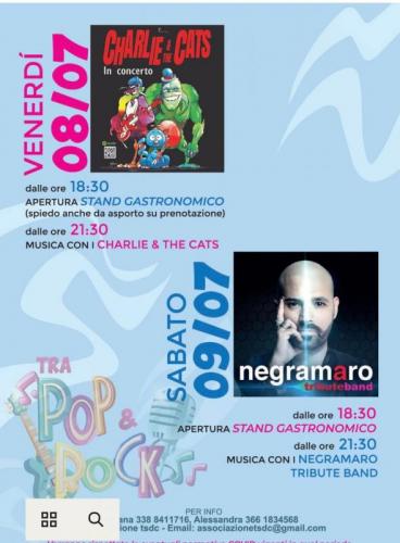 Festa Rock E Pop  A Castiglione Delle Stiviere - Castiglione Delle Stiviere