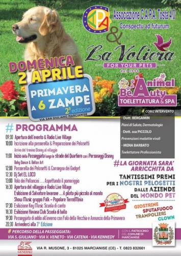 Passeggiata Di Primavera - Marcianise