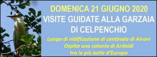 Visita Alla Garzaia Di Celpenchio - Rosasco