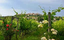 Raduno D'estate - Civitanova Marche