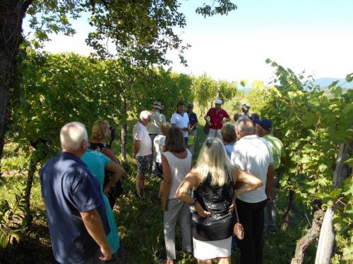 Enotour - Lignano Sabbiadoro