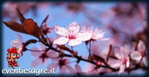 Festa Di Primavera - Villanova D'asti