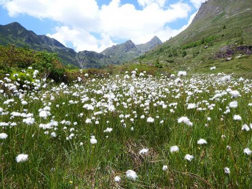 Parco Delle Orobie Bergamasche - Valgoglio