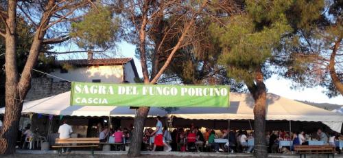 Festa Di San Pietro - Reggello