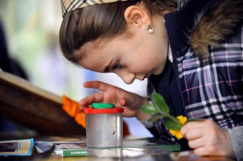 Festa Di Prima Estate - Acquapendente