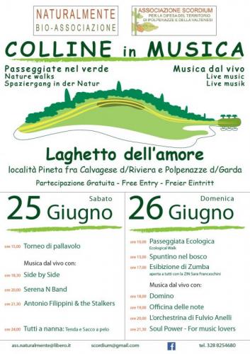 Colline In Musica - Polpenazze Del Garda