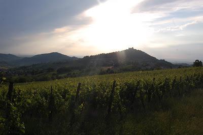 Tramonti Di.. Vini - Montalto Pavese