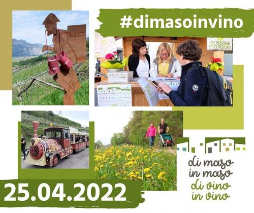 Di Maso In Maso Di Vino In Vino - 