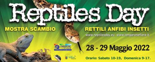 Reptiles Day A Longarone  - Longarone