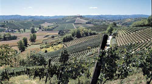 Eventi A Vinchio - Vinchio