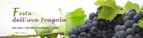 Festa Dell'uva Fragola - Suno