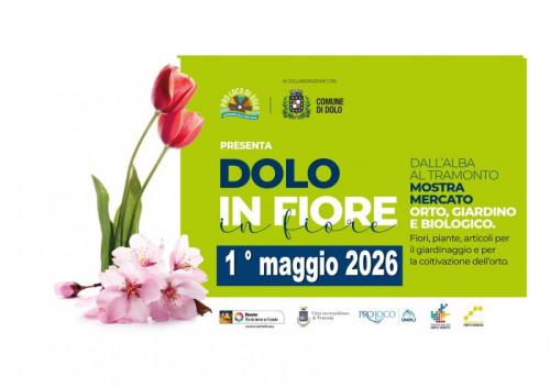 Festa Dei Fiori A Dolo - Dolo
