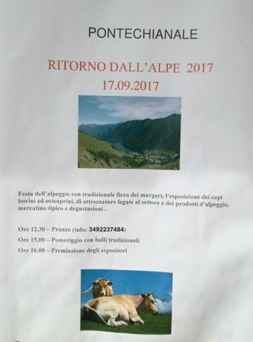 Ritorno Dall'alpe A Pontechianale - Pontechianale