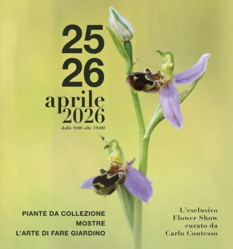 Borgo Plantarum A Castellarano - Castellarano