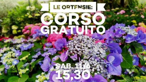 La Rosa Del Borghetto - Perugia