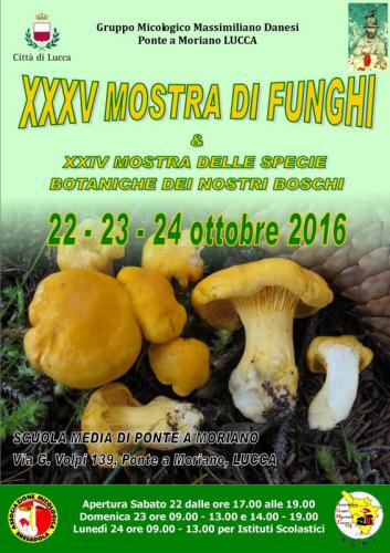 Mostra Micologica - Lucca